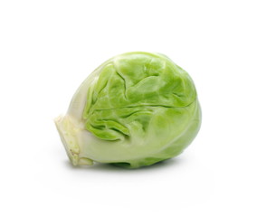 Brussels sprout, macro isolated on white background