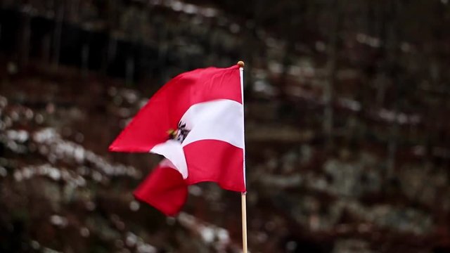 Flag of the Austria flutters on the background of mountains Alps.