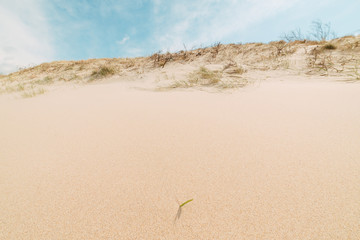 View of the sand dunes in hot weather on a summer sunny day, beautiful blue sky