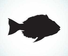 Hand drawn sketch fish. Vector illustration