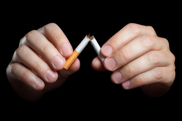 Close-up of male hands breaking a cigarette in hal, isolated on black background