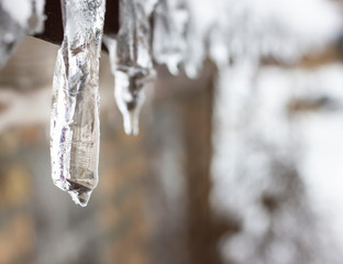 Transparent icicles on a roof in winter