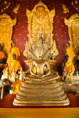 beautiful gold buddha statue of Wat Chedi Ngam at chiang mai