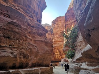 people walking in canyon