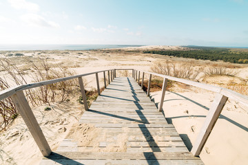 Fototapeta na wymiar Stairs to the beach. A wooden staircase leads to a wide sandy beach on the picturesque shore on a beautiful and windy summer day.