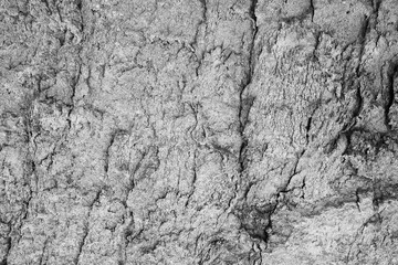 Chapped desert ground texture. White grey sand with stone background.