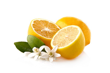 Lemons on the white background