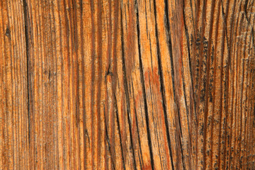 Woodiness grain