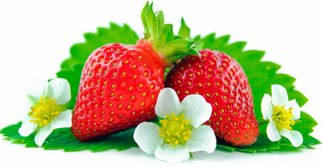 Strawberry on white background