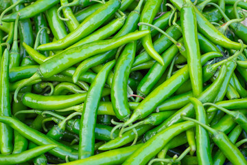Close-up Of green chili pepper in the market.