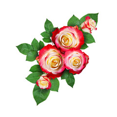Colorful roses with leaves in a corner arrangement isolated on white background. Flat lay. Top view. Isolated object .