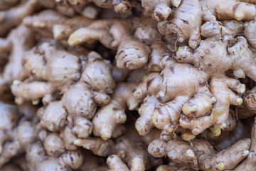 Fresh organic ginger on fresh market in thailand.