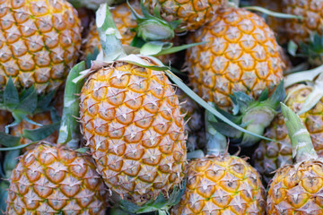 Close-up Of Fresh Pineapples for sale at local market.