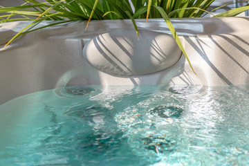 hot tub with decorative plants evoking a calm and relaxed atmosphere