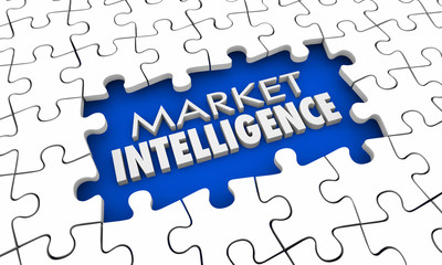 Market Intelligence Research Knowledge Puzzle Pieces Hole 3d Illustration