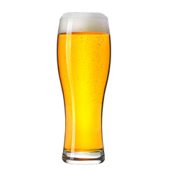 Pint of craft lager beer isolated on white background.