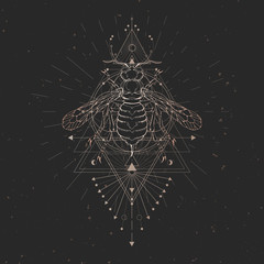 Vector illustration with hand drawn wasp and Sacred geometric symbol on black vintage background. Abstract mystic sign.