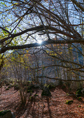Naklejka premium Trail to Canalahonda, Collados del Asón Natural Park, Soba Valley, Valles Pasiegos, Cantabria, Spain, Europe