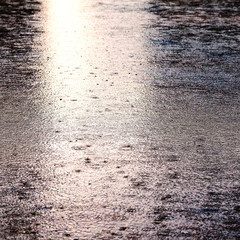 Rain drops on the surface of water in a puddle. Rainy day. 