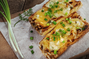 Open face cheese sandwich toated in an oven. Delicious homemade cheese toast with mozzarella, gorgonzola and green onion.