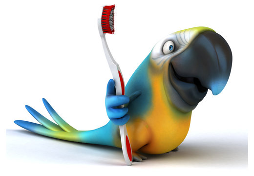 Fun parrot