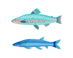 Jack Dempsey Fish and Mackerel Vector Illustration