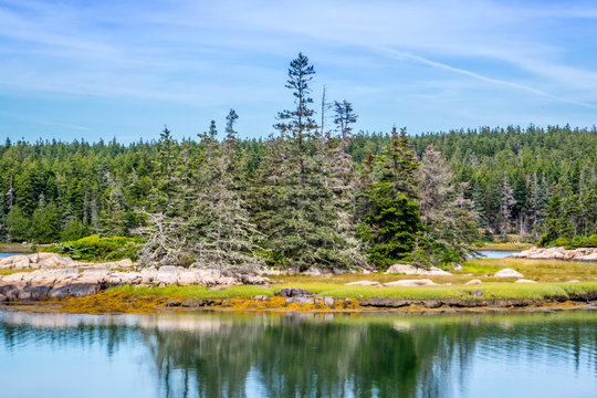 Little Moose Island In Acadia National Park At Schoodic Peninsula