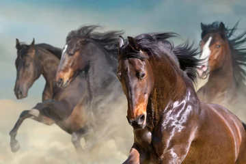 Gordijnen Horse herd run gallop in desert dust against dramatic sky © kwadrat70