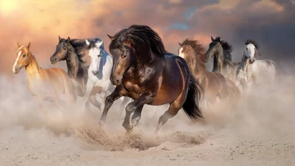 Zelfklevend Fotobehang Paardenkudde galoppeert in woestijnstof tegen dramatische lucht © kwadrat70