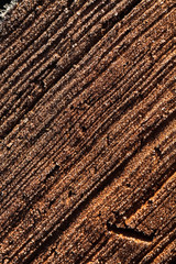 Surface of old brick for background