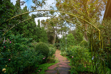 The green garden with the stone walk way and lots of bushes , flowers with the blue sky in the park. 