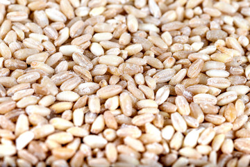 Wheat grains, background