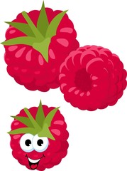 Raspberry. Fresh raspberry berries isolated on white background. Funny cartoon character. Raster Illustration