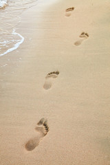 Foot prints on the beach of a seashore near the sea