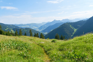 Fototapeta na wymiar Ausblick auf französische Alpen im Sommer