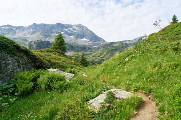 Wanderweg in den Bergen der französischen Alpen