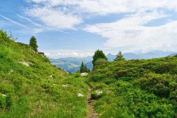 Fototapeta na wymiar Idyllischer Wanderweg in den Alpen im Sommer