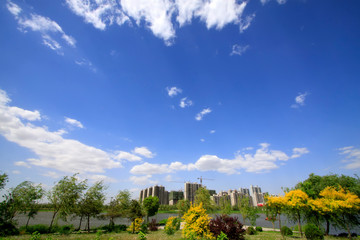 Unfinished high-rise buildings in the city
