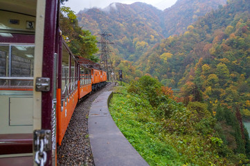 黒部峡谷ともみじ