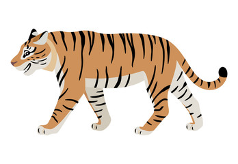 Friendly predatory animal, cute walking tiger icon, big wild cat, vector illustration isolated on white background