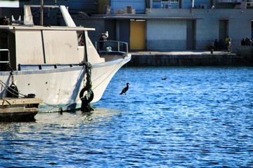 Naklejka premium Fishing Boats moored in the port of Santa Pola, Alicante