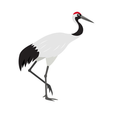 Friendly cute red-crowned or Japanese crane icon, colorful wild bird, vector illustration isolated on white background