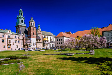 The cathedral of St Stanislaw and St Vaclav on the Wawel Hill