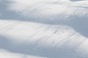 Obraz premium Winter scene. Bright white snow and little frosty grass.