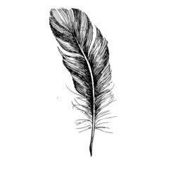 Obraz premium Feather Pattern hand drawn