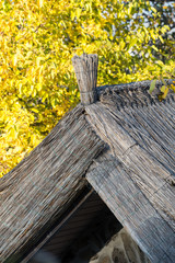 Fototapeta premium Roof made from reed