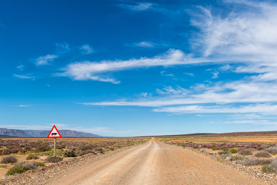 Road landscape in the Tankwa Karoo