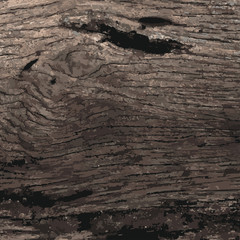 Old wood texture background. Dark brown wood texture background.