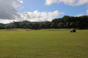 Fototapeta premium Golf card on a lawn with trees against the sky with clouds