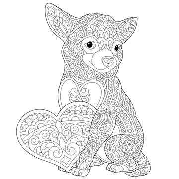 zentangle chihuahua dog coloring page